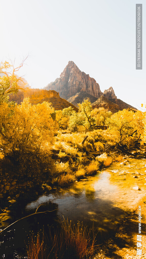 山间溪流旁的壮丽自然景观