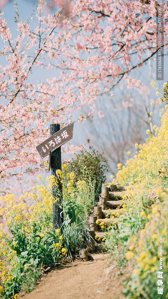 春日繁花小径上的浪漫景象