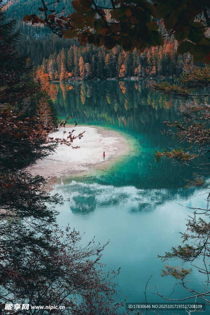 梦幻湖畔森林美景