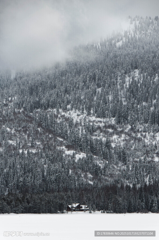 雪覆山林的朦胧景致