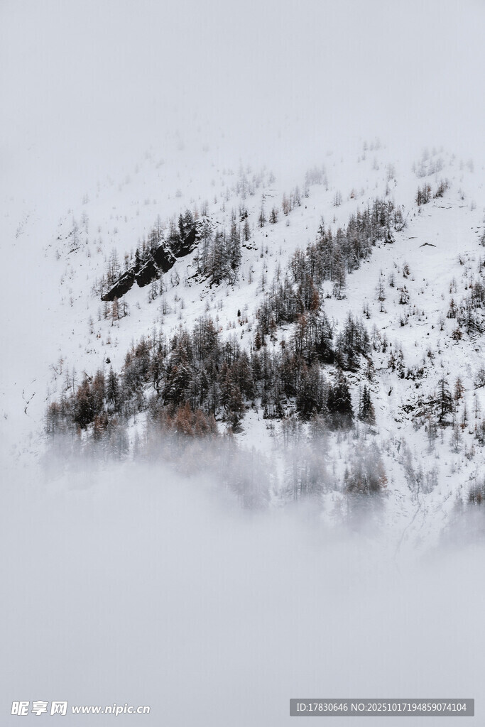 雪覆山林云雾缭绕之景