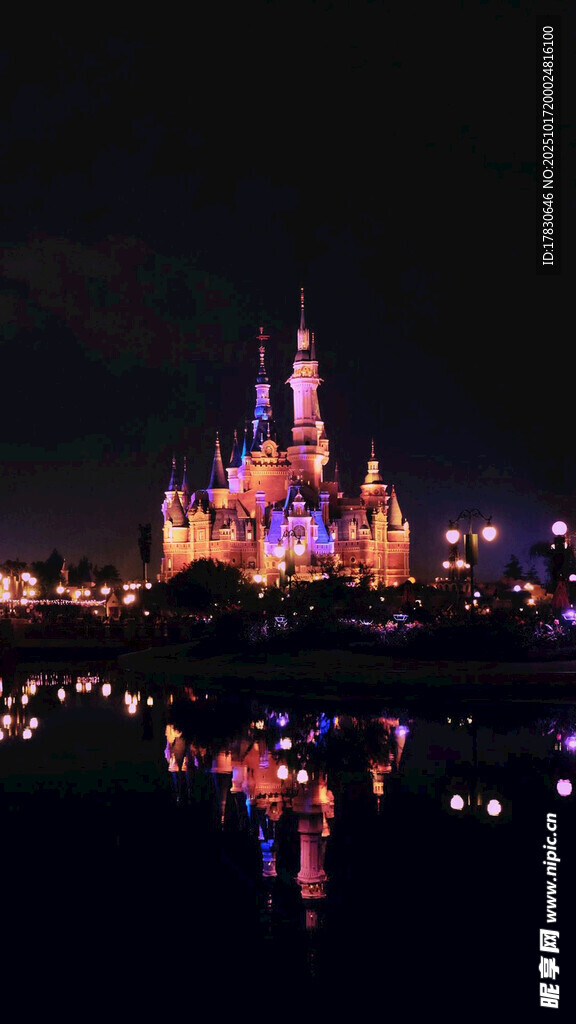迪士尼城堡璀璨夜景