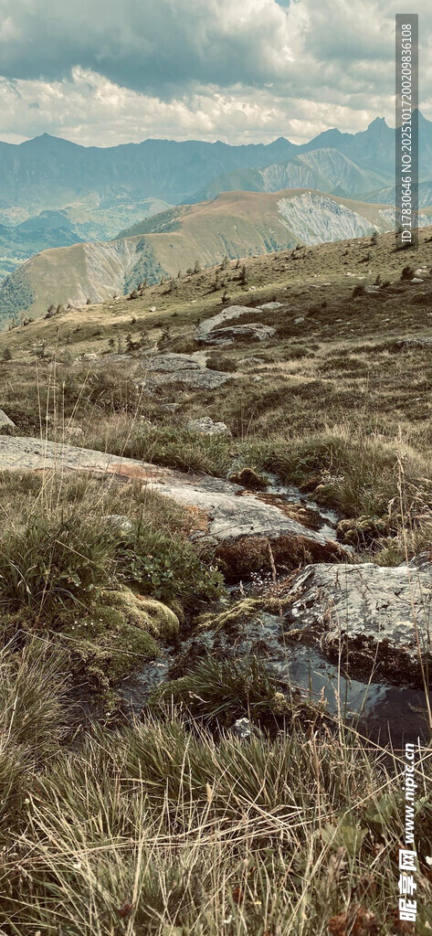 荒野草地间的自然景致