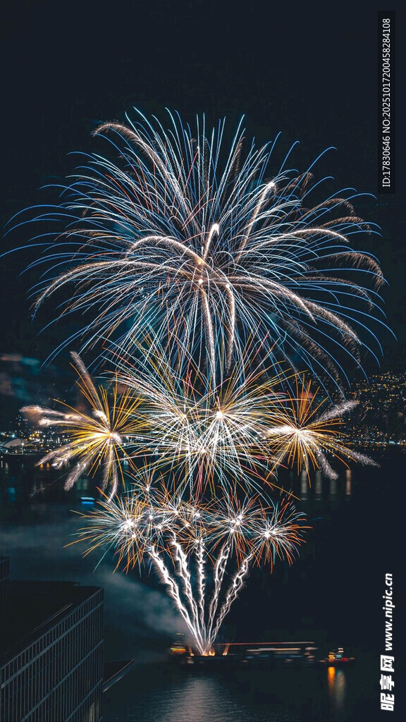 夜空中绚烂绽放的烟花