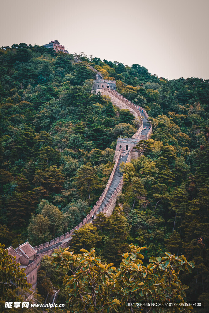蜿蜒长城隐于葱郁山林