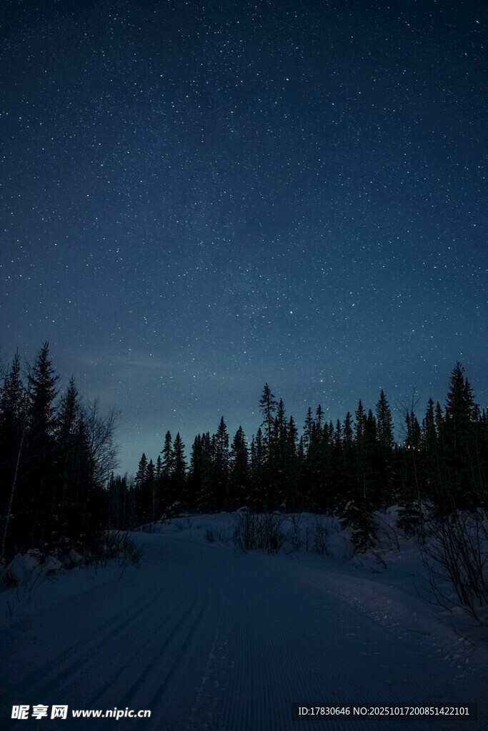 雪夜森林静谧星空之景
