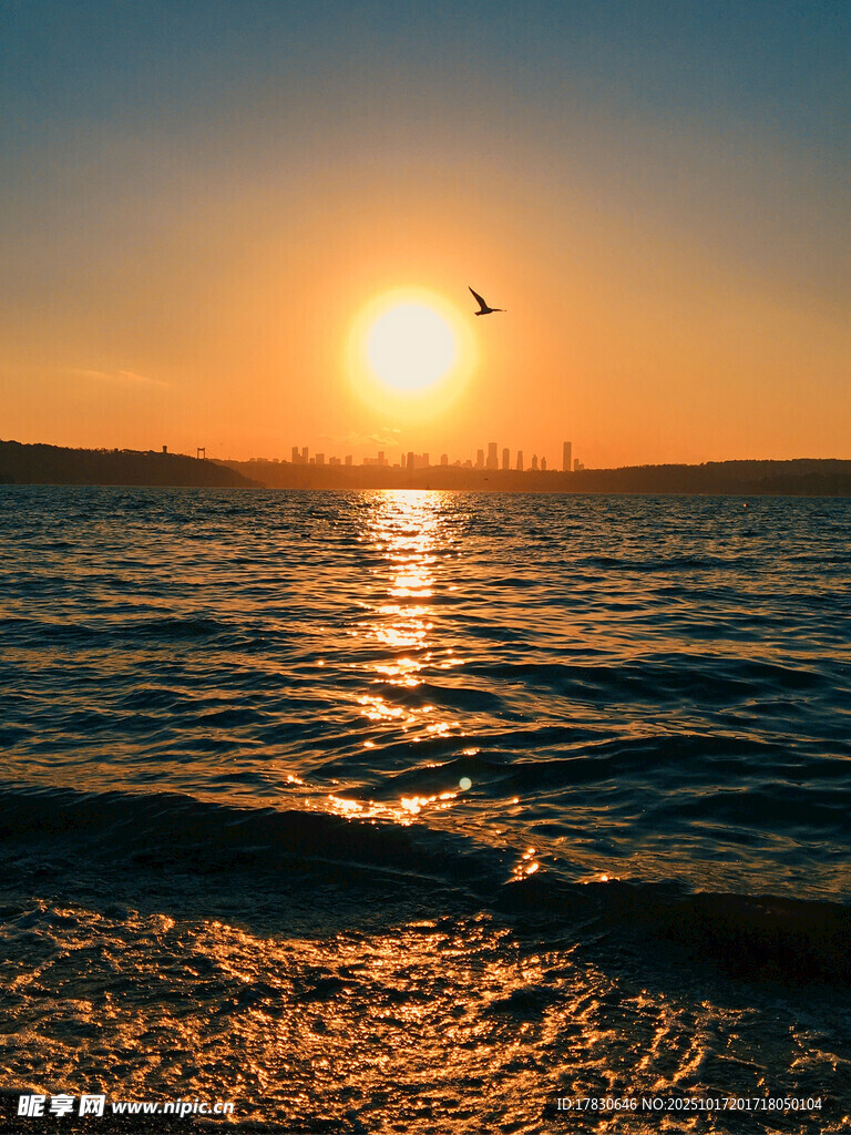 海边日落美景飞鸟伴夕阳