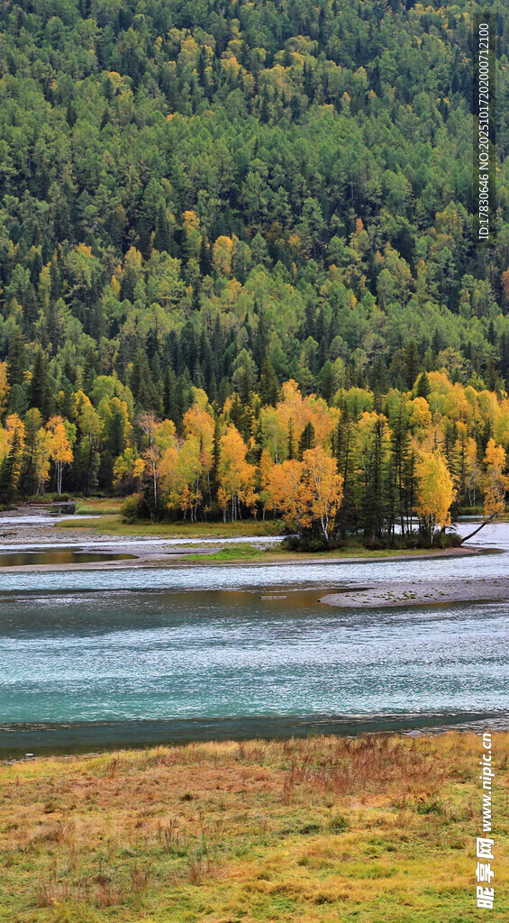 秋日河畔森林美景