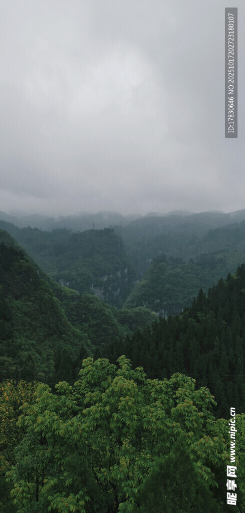 云雾缭绕的翠绿山峦
