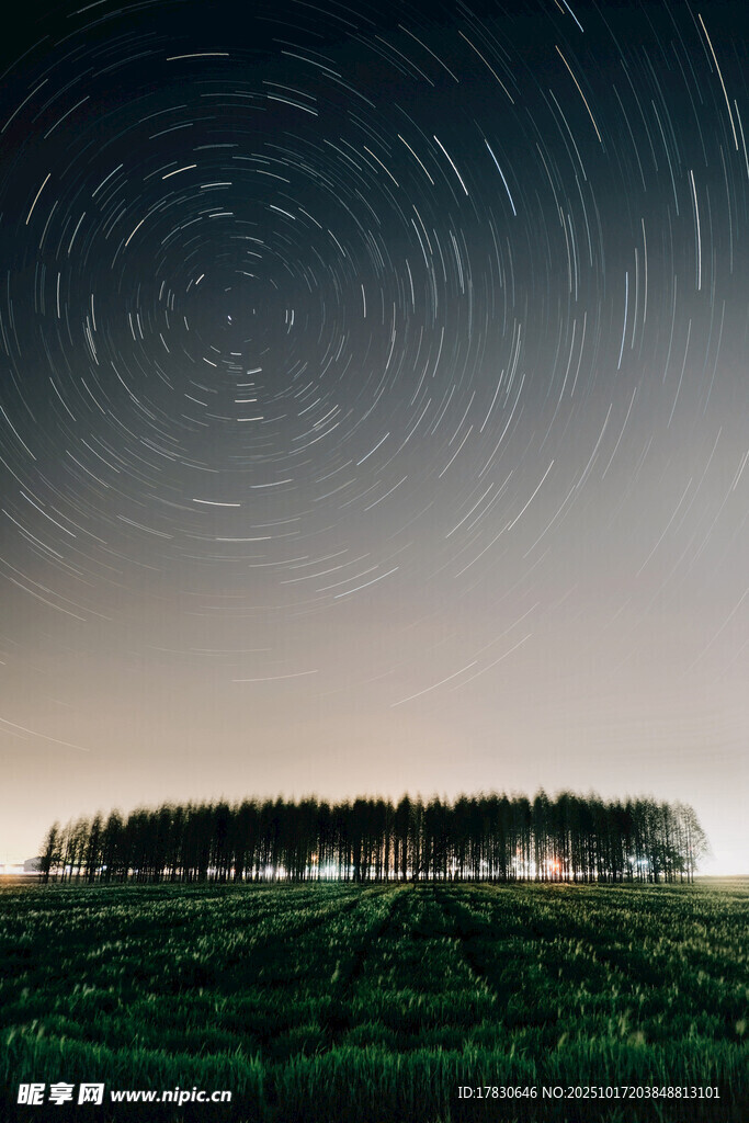 夜空星轨下的静谧森林
