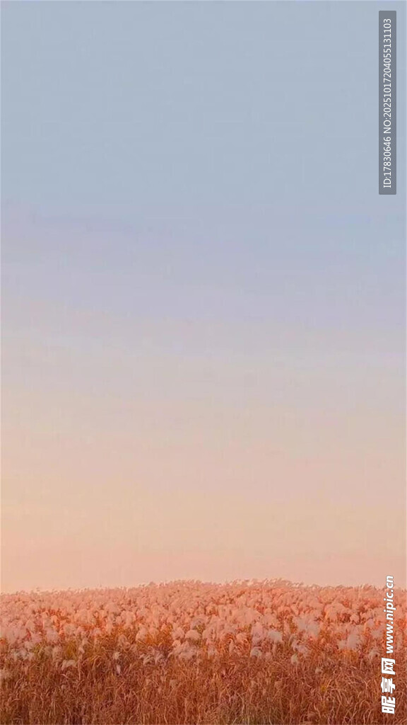 秋日麦田美景