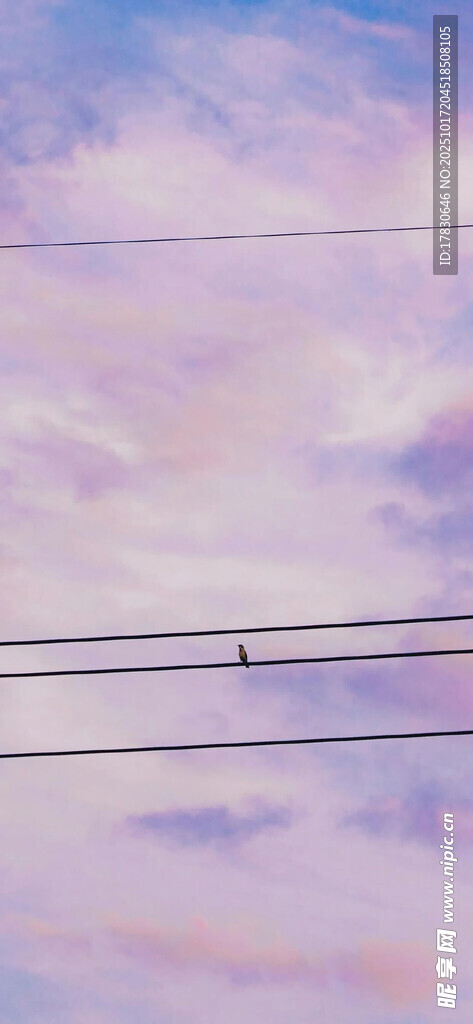 梦幻粉紫天空与电线