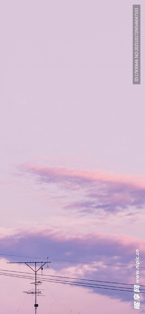 粉紫色天空下的电线景象