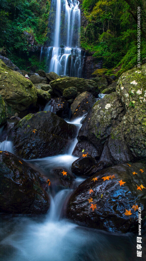 山间瀑布溪流潺潺美景