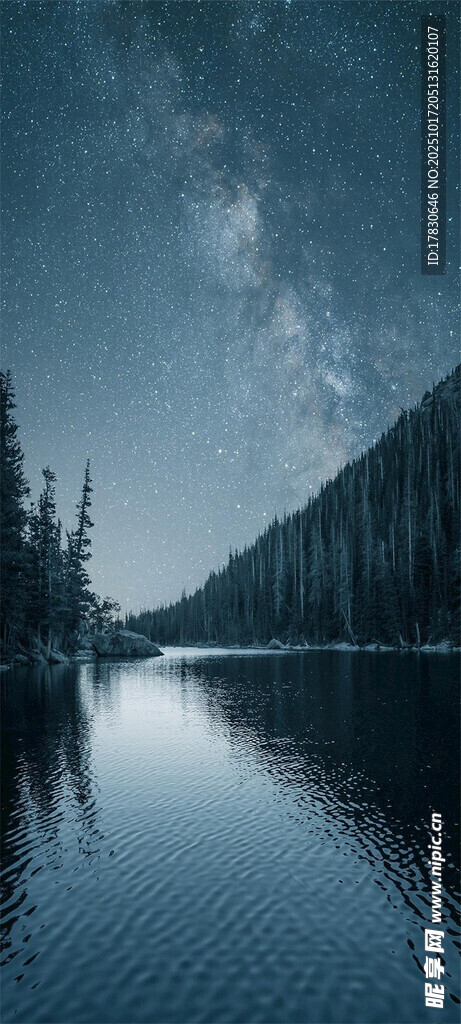 静谧湖畔星空下的森林
