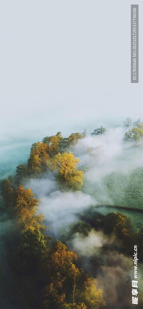 山间云雾缭绕的多彩秋景