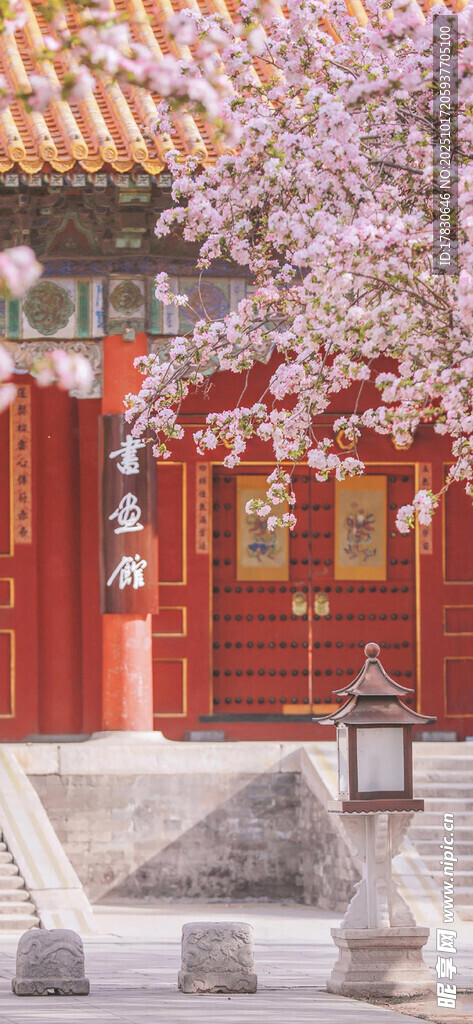古建前绽放的烂漫春花