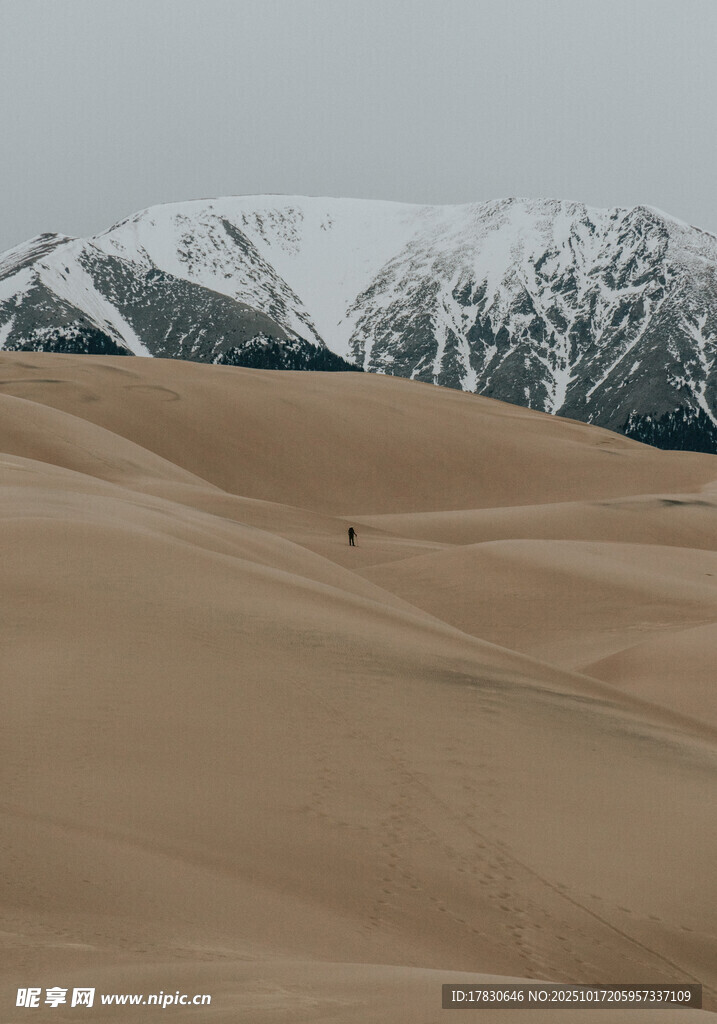 沙漠与雪山的壮丽景观
