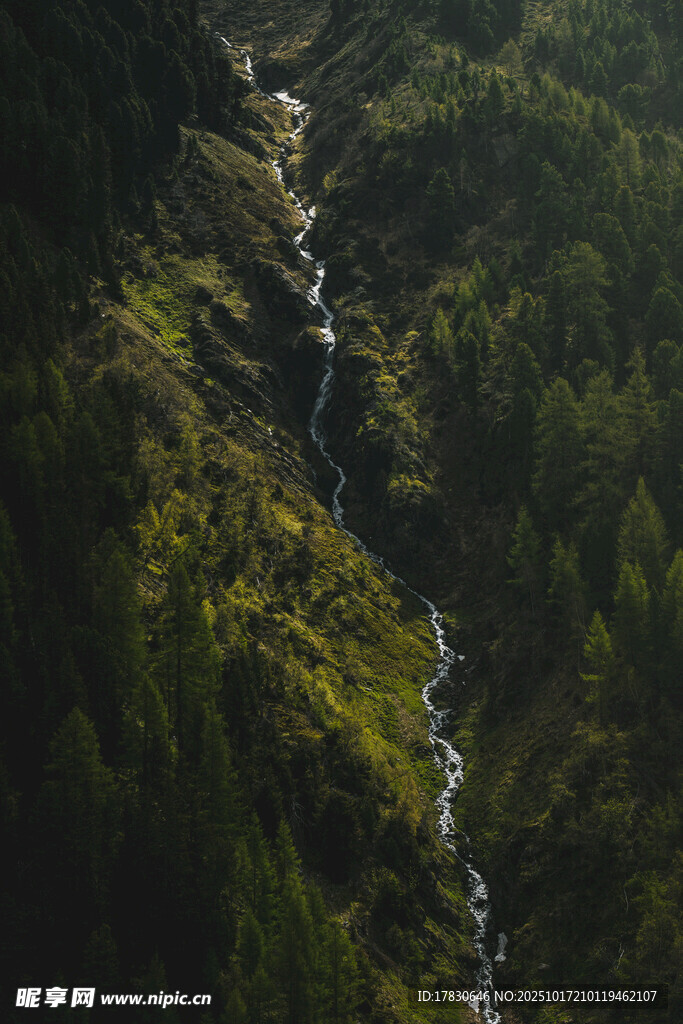 山间溪流穿林而过
