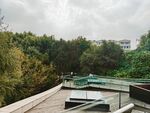 屋顶景观绿植环绕视野佳