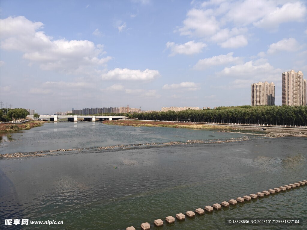 河畔城市风光美景