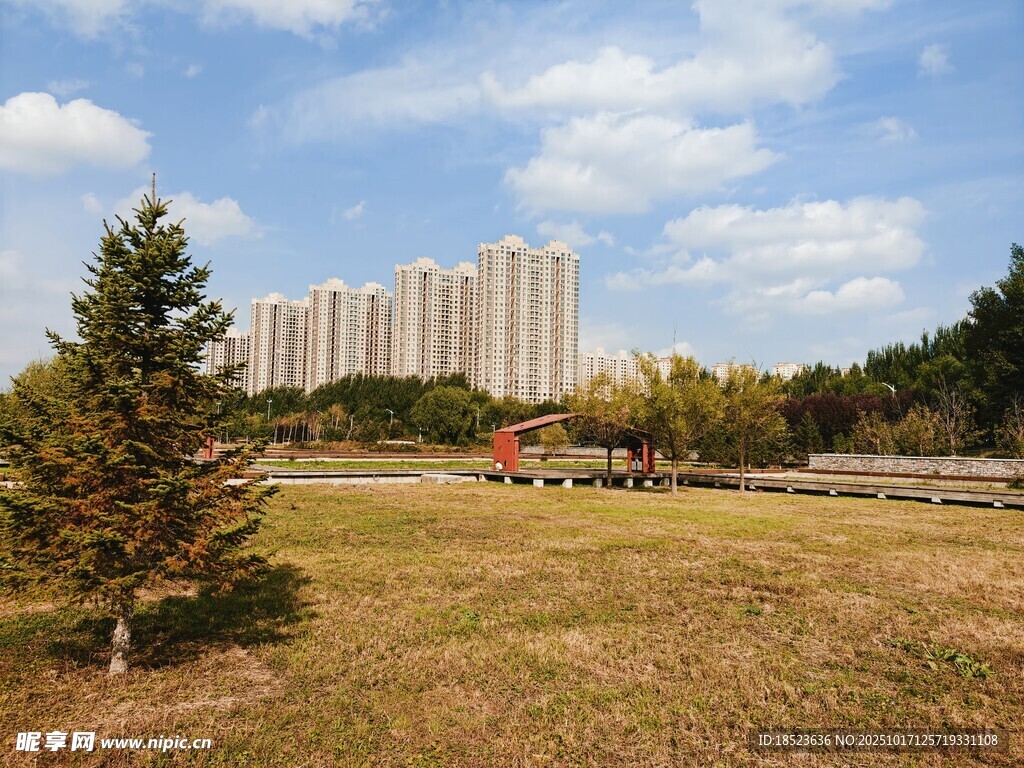 城郊草地与远处高楼景观