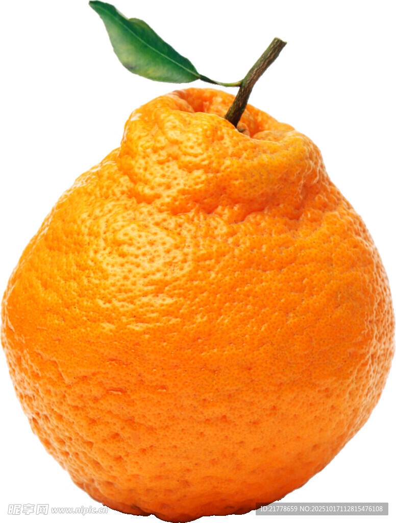 丑橘