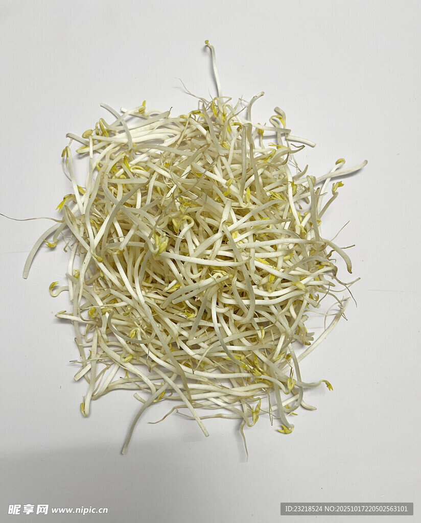 绿豆芽