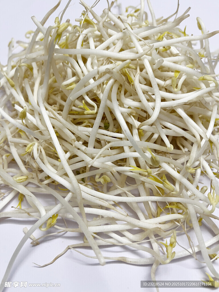 豆芽