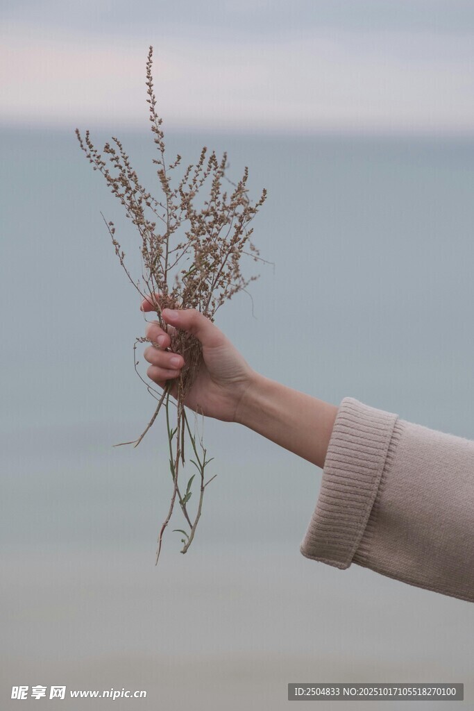 海边手持干花的优雅瞬间