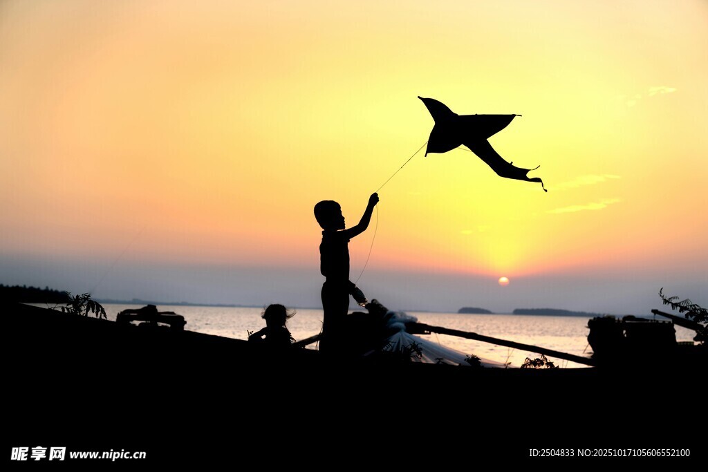 夕阳下人与飞鸟的温馨画面