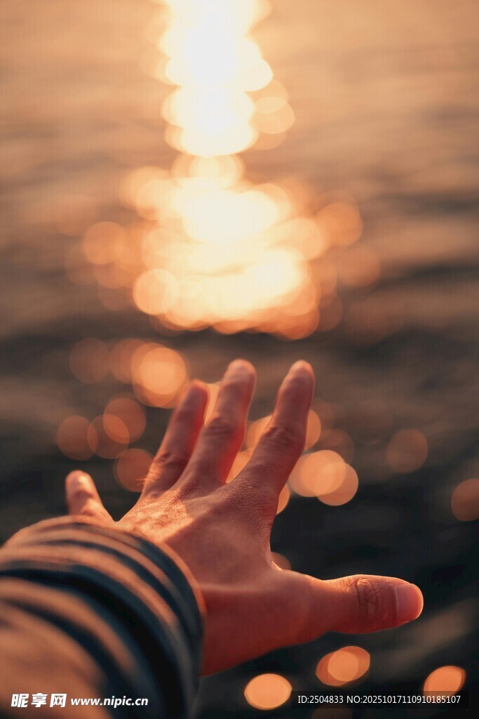 伸向夕阳的手