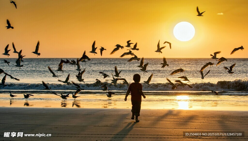 夕阳下海滩上的人与飞鸟