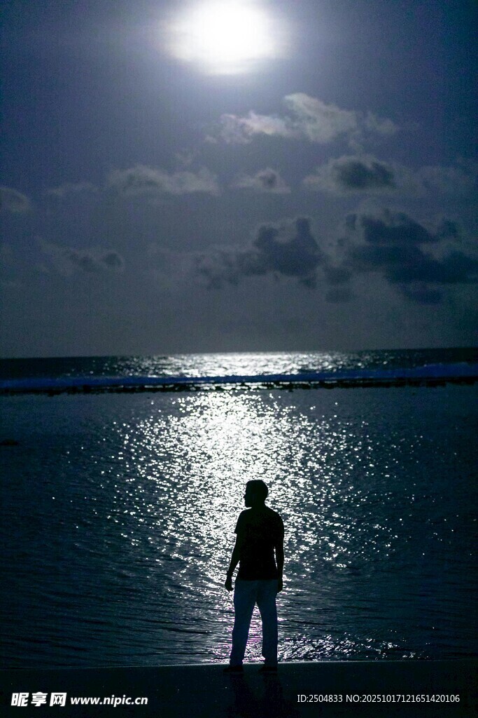 海边独行者 沐浴月光之下