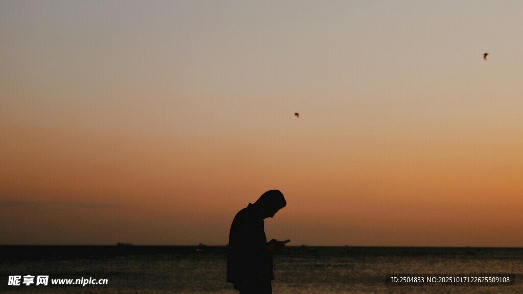 夕阳下独行者