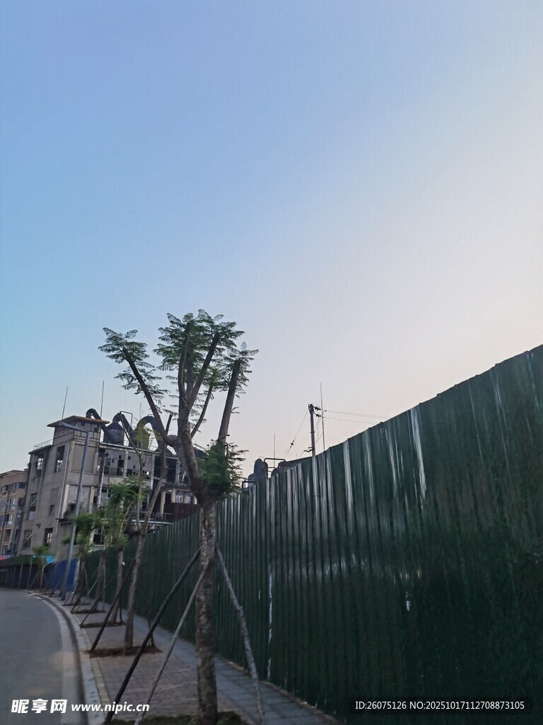 路边绿植与围栏景观