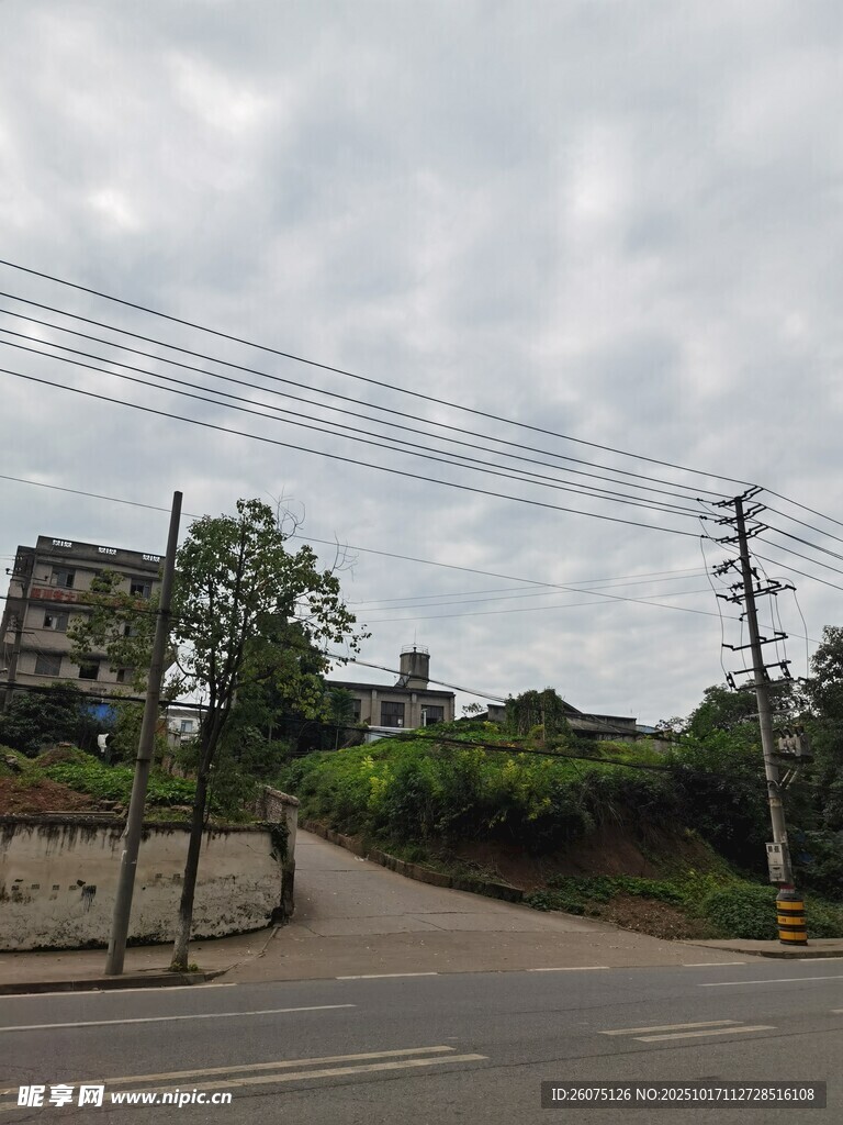 乡村道路旁的民居与电线