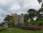 城市中绿意环绕的高楼景观