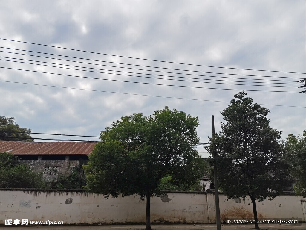 户外建筑旁的绿树与电线