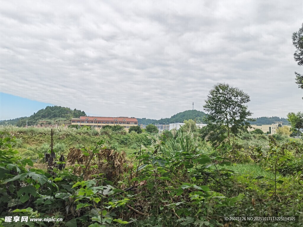 乡村绿野自然风光