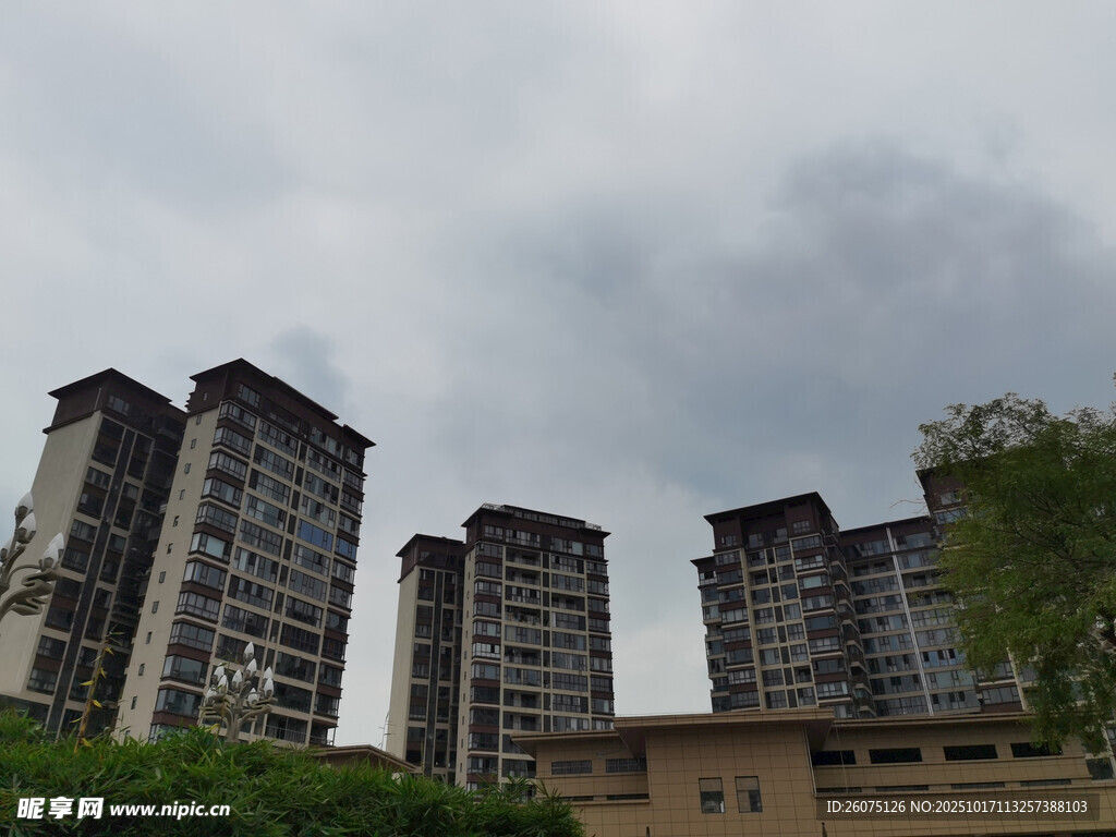 城市高楼与绿植景观