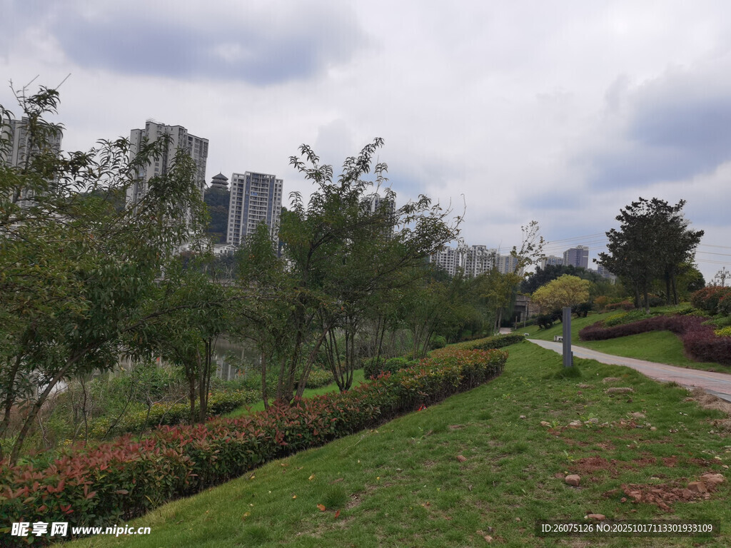 城市公园绿意盎然景致