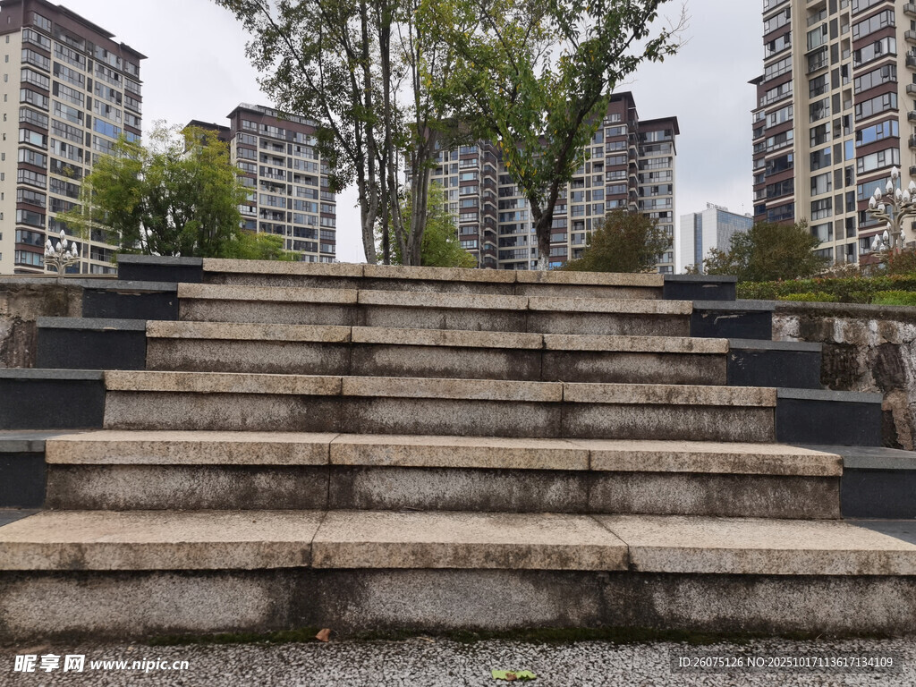 城市中石阶旁的绿树景观
