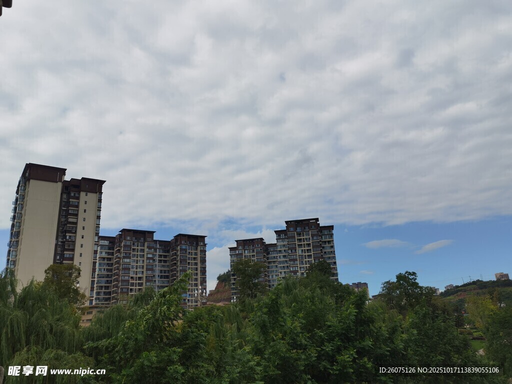 城市高楼与绿树相映成景
