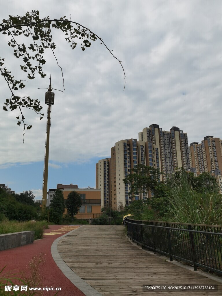 城市公园中的步道与高楼
