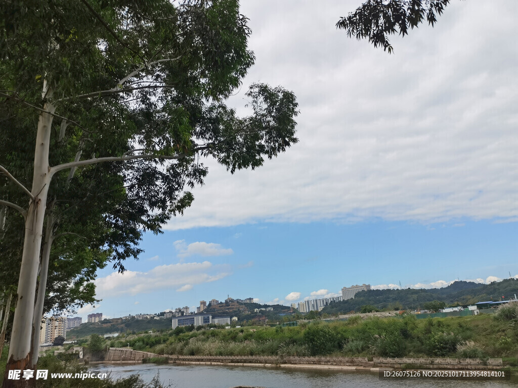 河畔绿树蓝天风景图