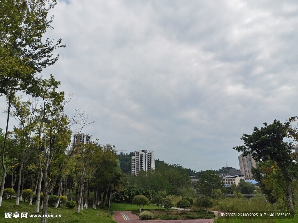 城市中的绿意公园景观