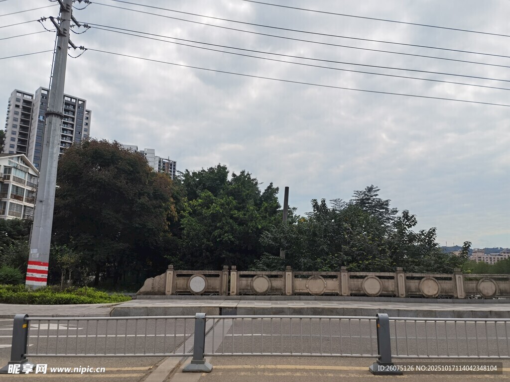 城市道路旁的绿树与设施