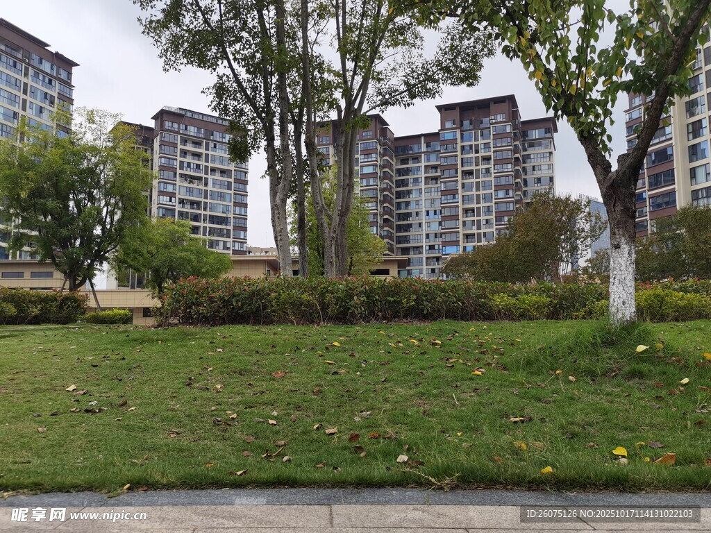 小区旁的绿地与高楼景观