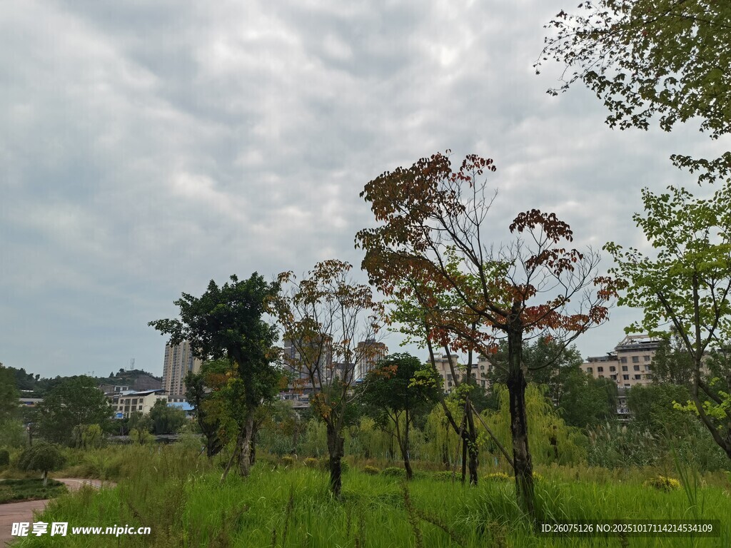 郊外绿意盎然的自然景致
